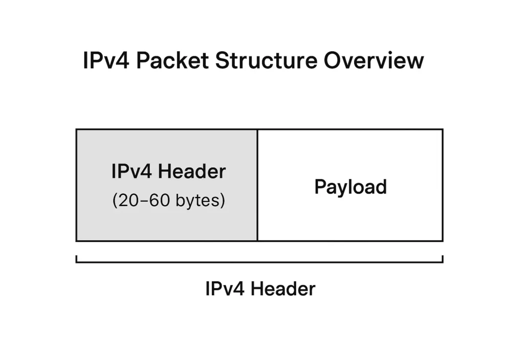 IPv4 packet structure diagram showing header and payload