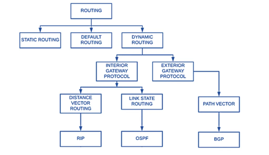 Types of Routing Protocols chart showing distance vector, link state, and hybrid routing methods.