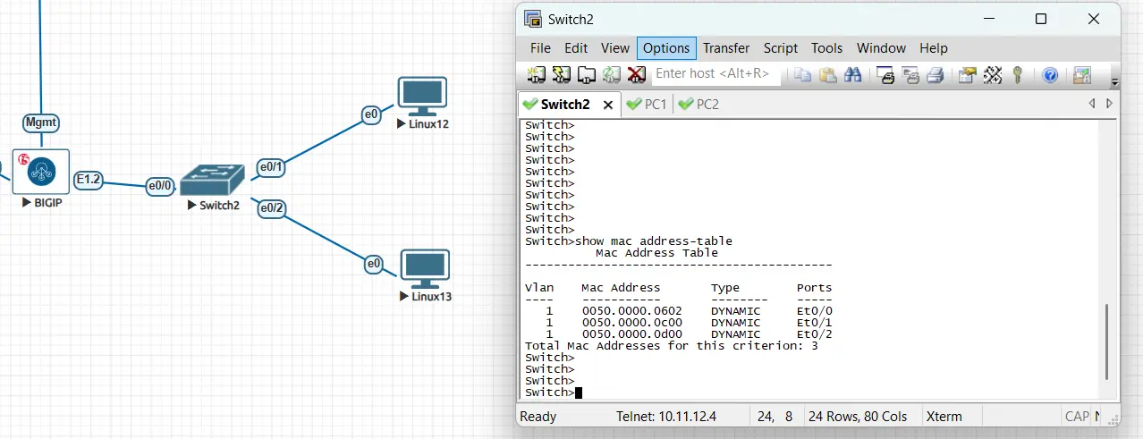 Cisco switch MAC address table showing learned MAC addresses and connected ports